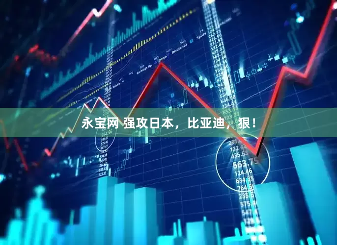 永宝网 强攻日本，比亚迪，狠！