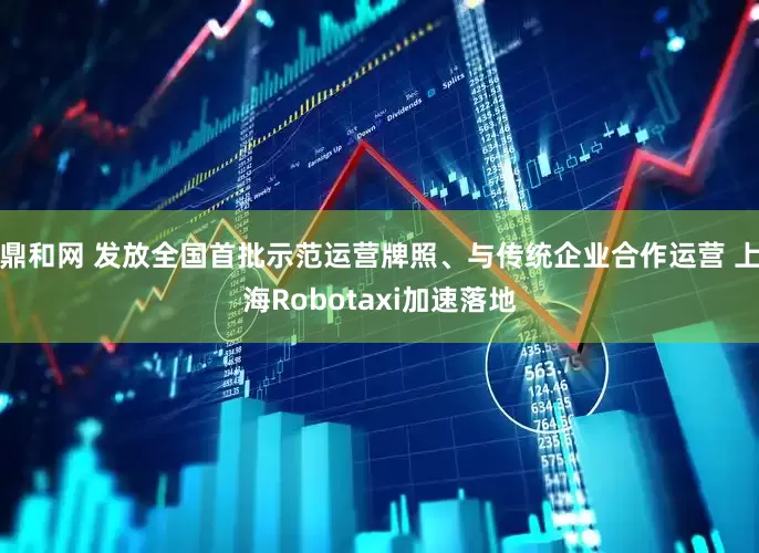 鼎和网 发放全国首批示范运营牌照、与传统企业合作运营 上海Robotaxi加速落地