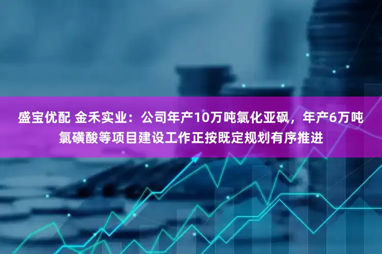 盛宝优配 金禾实业：公司年产10万吨氯化亚砜，年产6万吨氯磺酸等项目建设工作正按既定规划有序推进