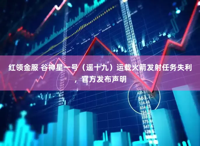 红领金服 谷神星一号（遥十九）运载火箭发射任务失利，官方发布声明